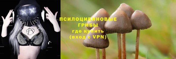 ALPHA PVP Аркадак