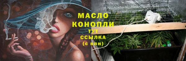 молекула духа Арсеньев